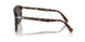 110248 - Tortoise - Polar Black
