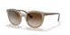 294013 - Light Brown - Brown Gradient