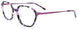 80 - Tortoise & Brushed Lilas Steel