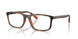 5974 - Tortoise