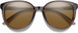 2168013DV54L5 - Chromapop Polarized Brown
