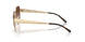 334613 - Gold - Brown Gradient