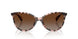 6058T5 - Pink - Brown Gradient Polar