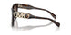 300613 - Tortoise - Brown Gradient
