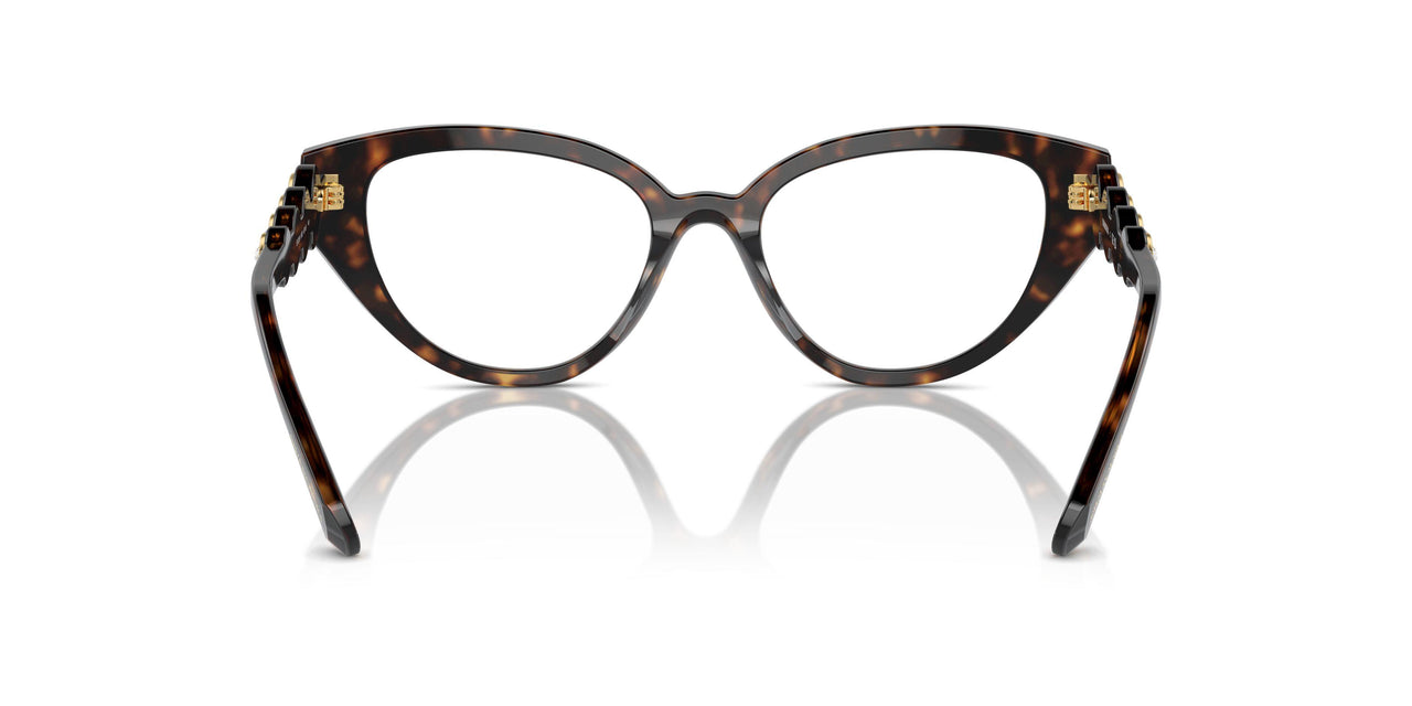 1002 - Brown