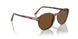 120957 - Red - Polar Brown