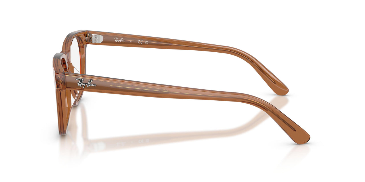 8201 - Brown - Demo Bio
