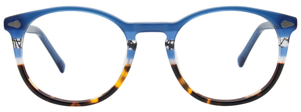 50 - Blue & Tortoise