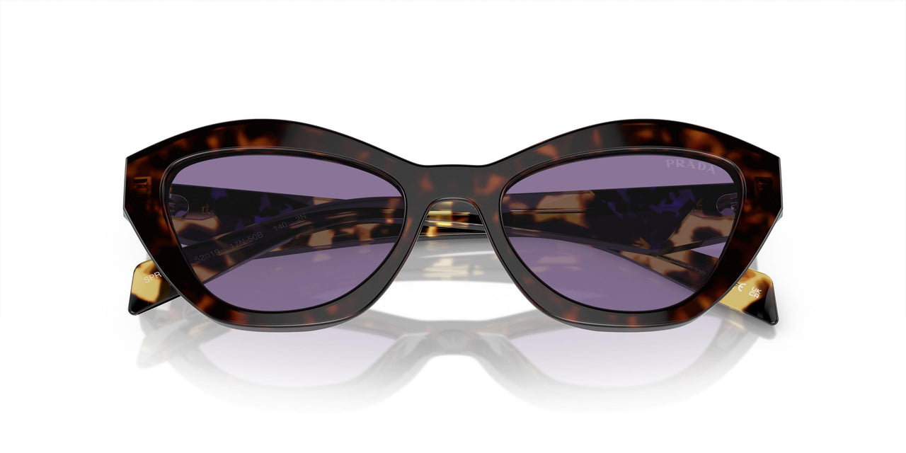 17N50B - Tortoise - Violet Mirror Internal Silver