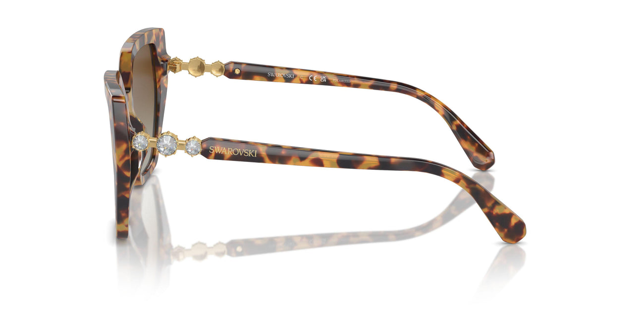 1004T5 - Tortoise - Brown