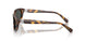 513487 - Tortoise - Grey