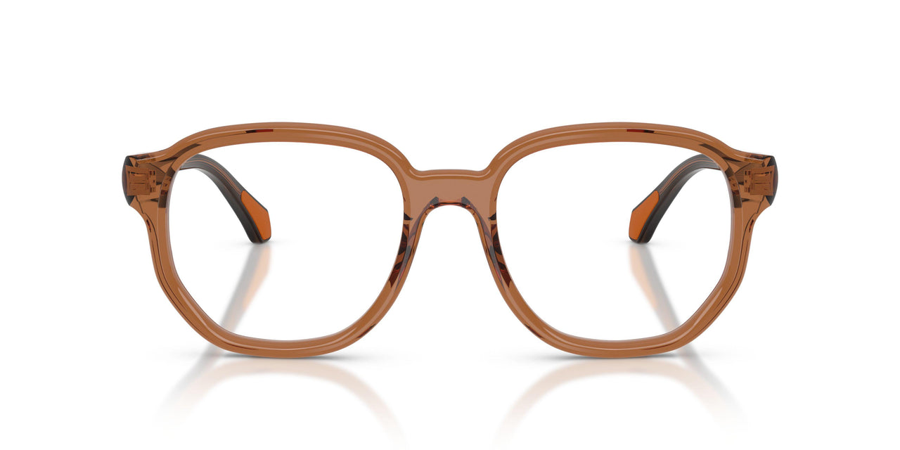 3017 - Brown