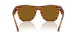 679183 - Brown - Polar Dark Brown
