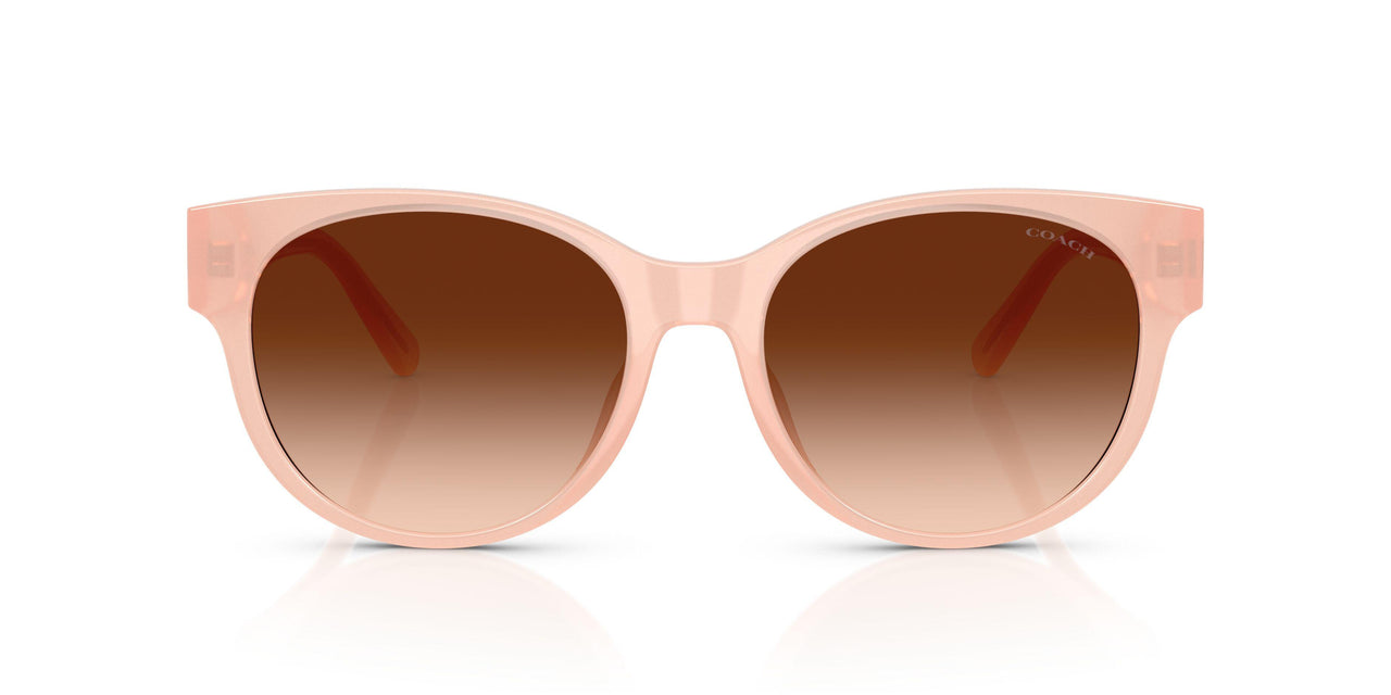511374 - Pink - Brown Gradient