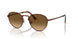 1123M2 - Brown - Polar Brown Gradient