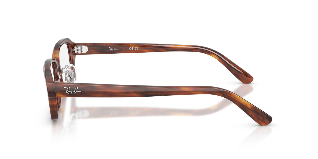 2144 - Brown - Demo Bio