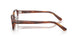 2144 - Brown - Demo Bio