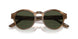590058 - Brown - Green