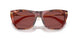 344475 - Tortoise - Dark Violet