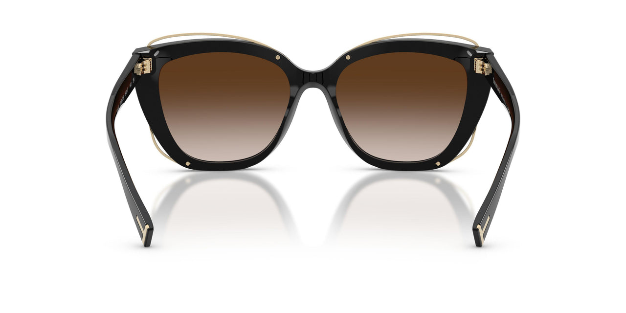 80013B - Black - Brown Gradient