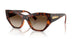 W65613 - Brown - Gradient Dark Brown