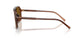 348183 - Brown - Dark Brown Polar
