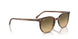 13920A - Brown - Brown Vintage