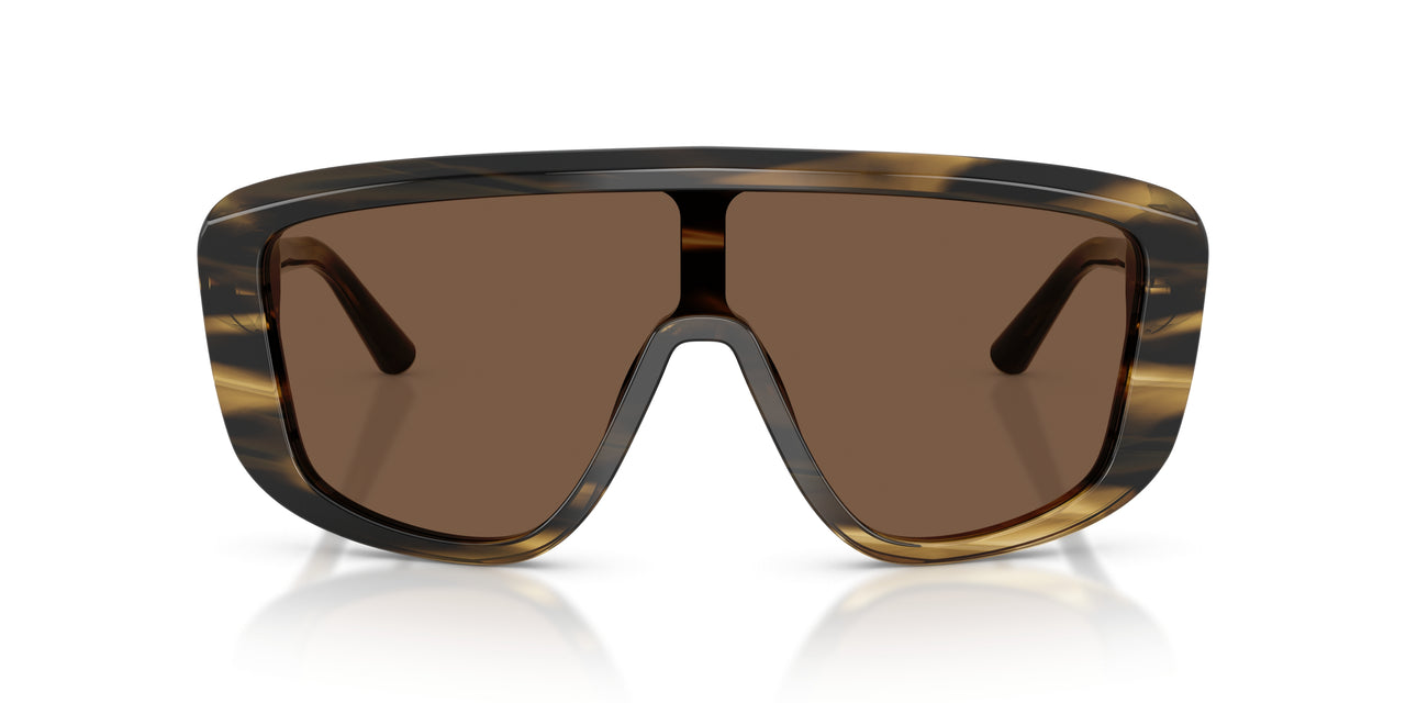 306373 - Tortoise - Brown
