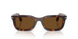 24/57 - Tortoise - Polar Brown
