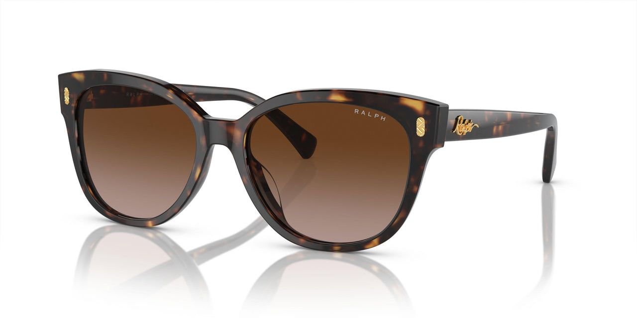 500313 - Black - Gradient Brown