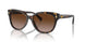 500313 - Black - Gradient Brown