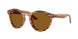 679183 - Brown - Dark Brown Polarized