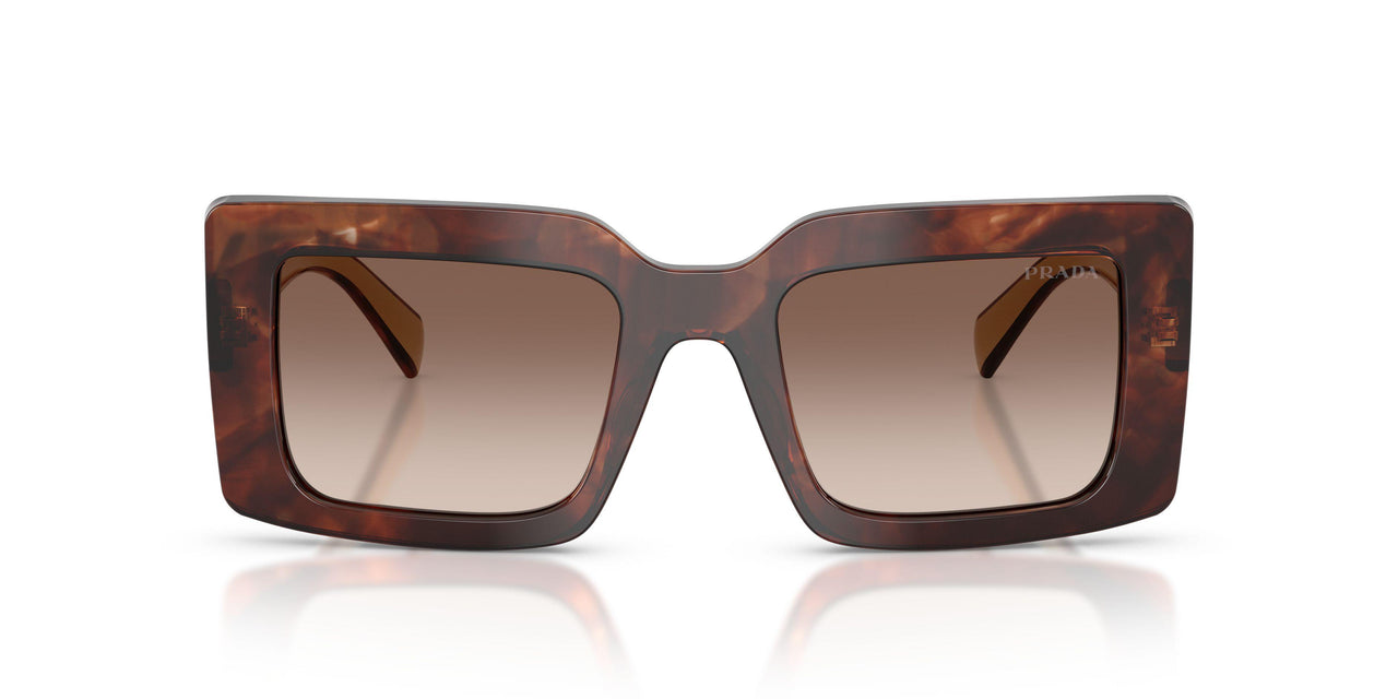 00K10S - Tortoise - Brown Gradient