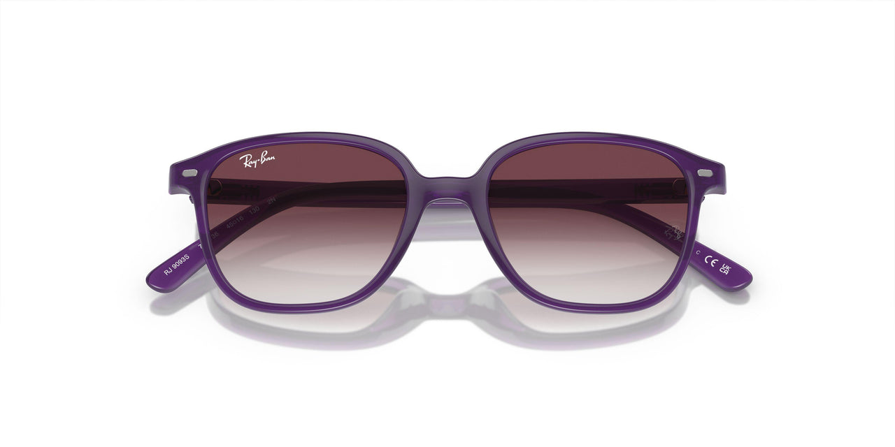 713136 - Violet - Grey/violet