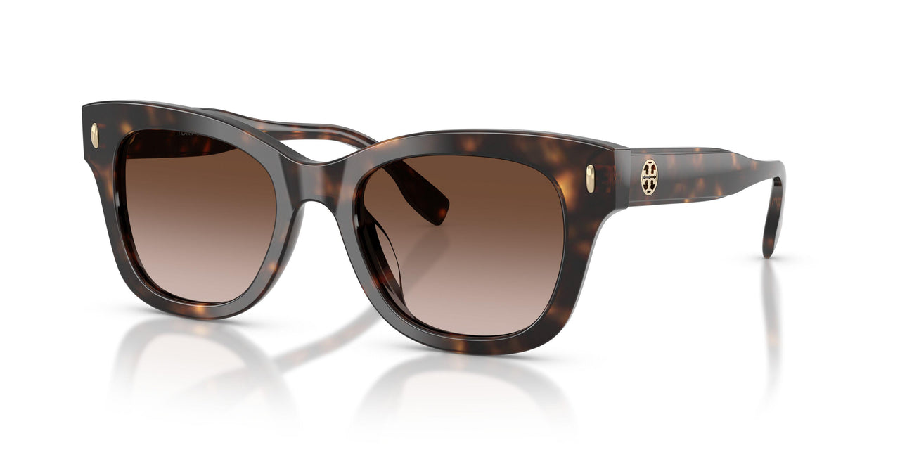 196413 - Tortoise - Brown Gradient