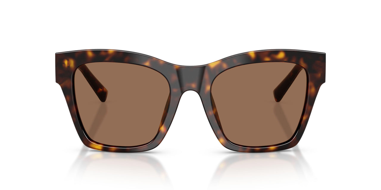 502/73 - Tortoise - Dark Brown
