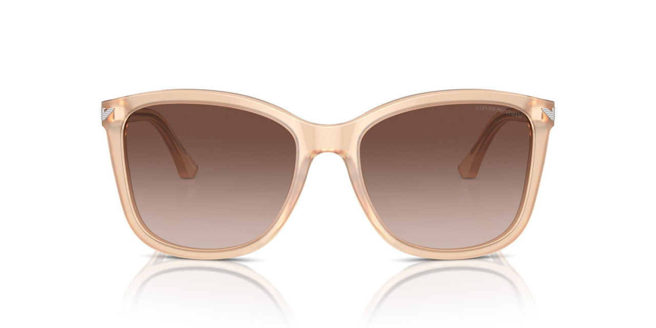 609813 - Brown - Brown Gradient