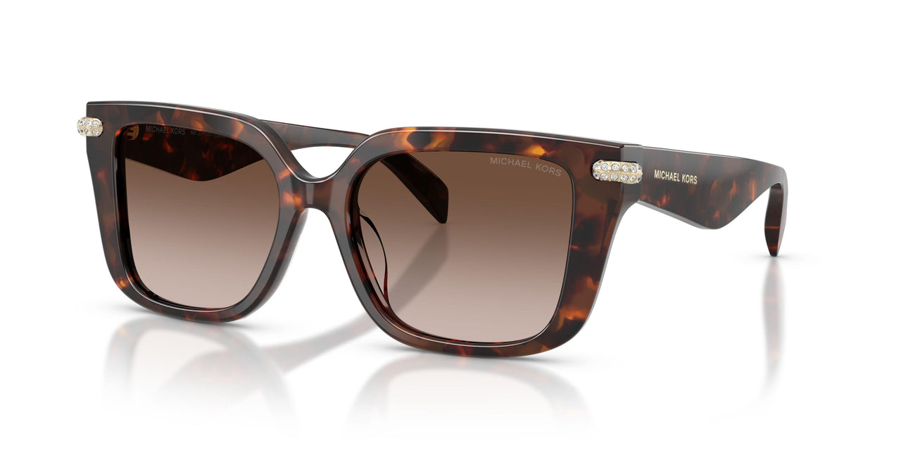403113 - Tortoise - Smoke Gradient