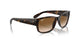 710/51 - Tortoise - Clear & Brown