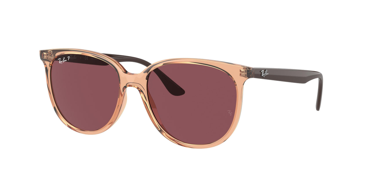 Ray-Ban 4378F Sunglasses