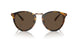 513453 - Tortoise - Brown