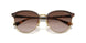 507813 - Brown - Brown Gradient