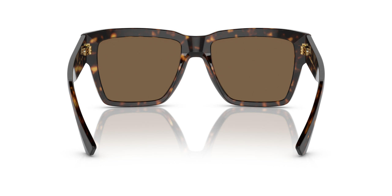 502/73 - Tortoise - Dark Brown