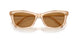 109273 - Brown - Bronze
