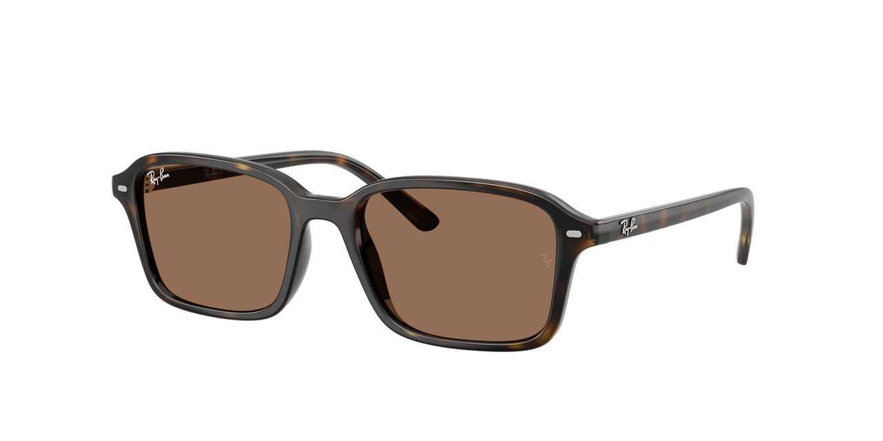 152/73 - Tortoise - Dark Brown