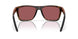 913108 - Tortoise - Gold Mirror