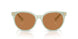 604973 - Green - Amber