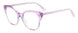 0V06-00 - VIOL BLUE