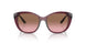 298914 - Red - Pink Gradient Brown