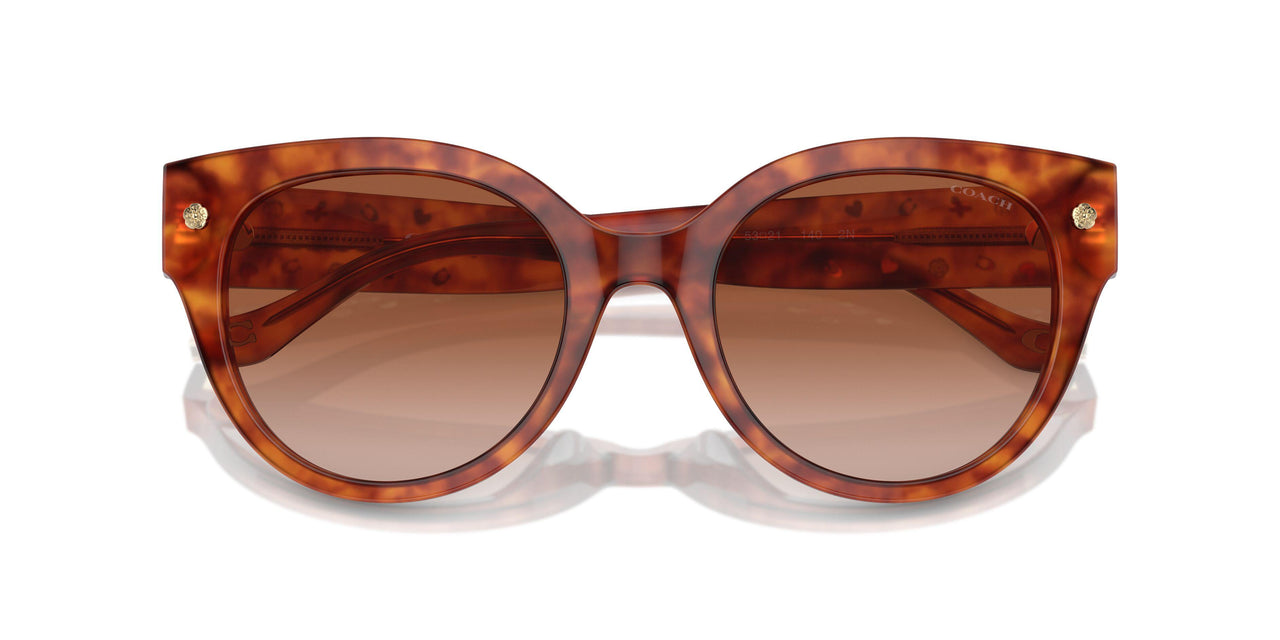 577413 - Tortoise - Brown Gradient